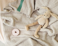Carousel stripes Knitted Throw-Chiffon